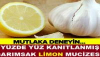 Yüzde Yüz Kanıtlanmış Limon Sarımsak Mucizesi! Faydaları Saymakla Bitmiyor